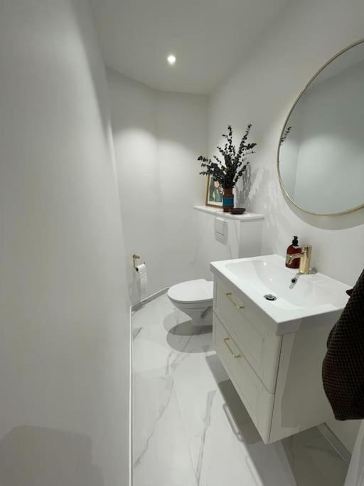 Nyrenoveret Charmerende Lejlighed I Odense C! Apartment Екстериор снимка